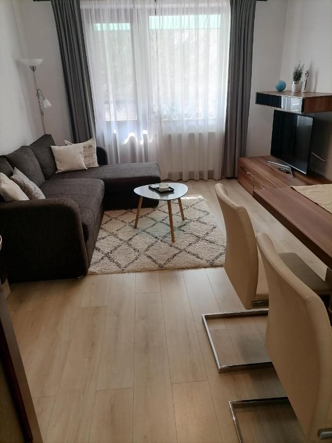 Joy Apartman Apartment Sovata Exterior foto